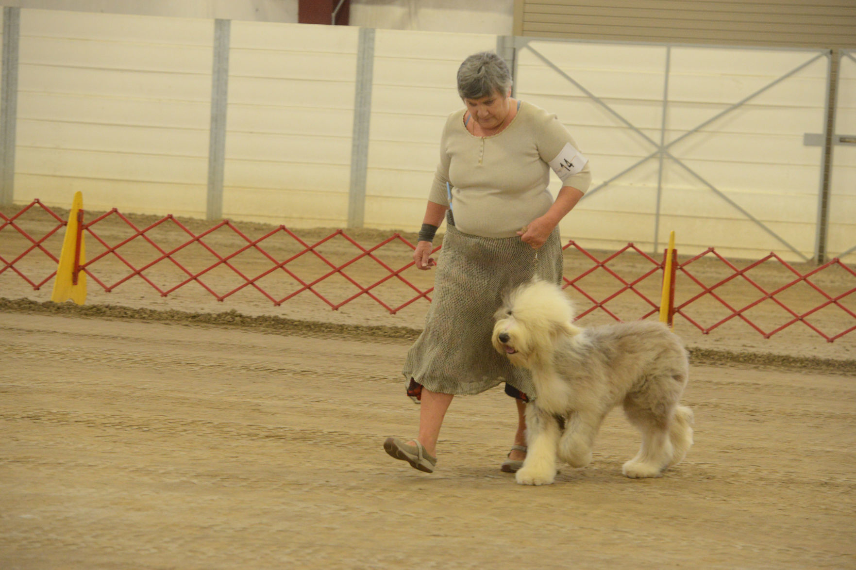 Danville Kennel Club Breeder Show